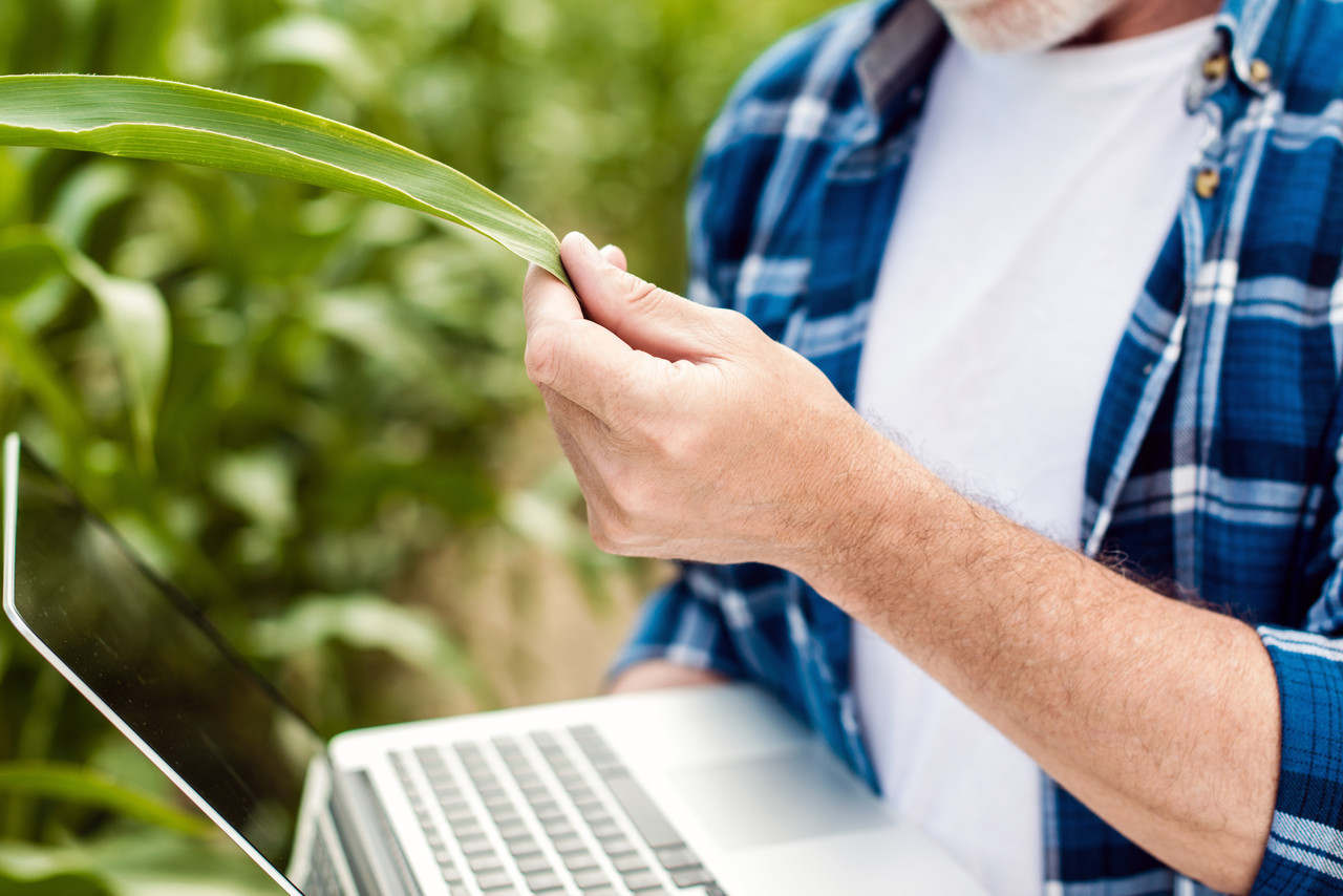W3ERP - Software específico para o agronegócio