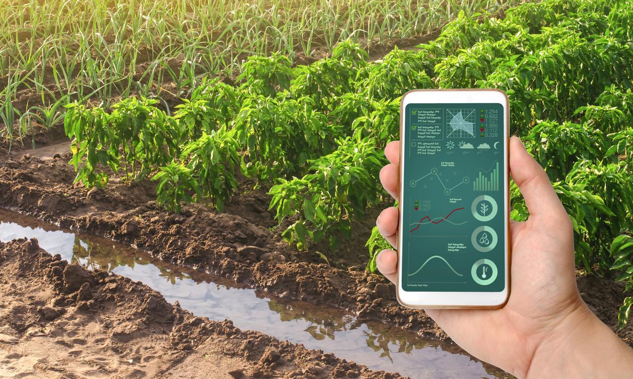 W3ERP - Produtos controlados: como otimizar o processo de venda