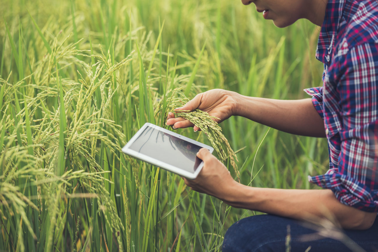 W3ERP - Os benefícios da mobilidade para o agronegócio