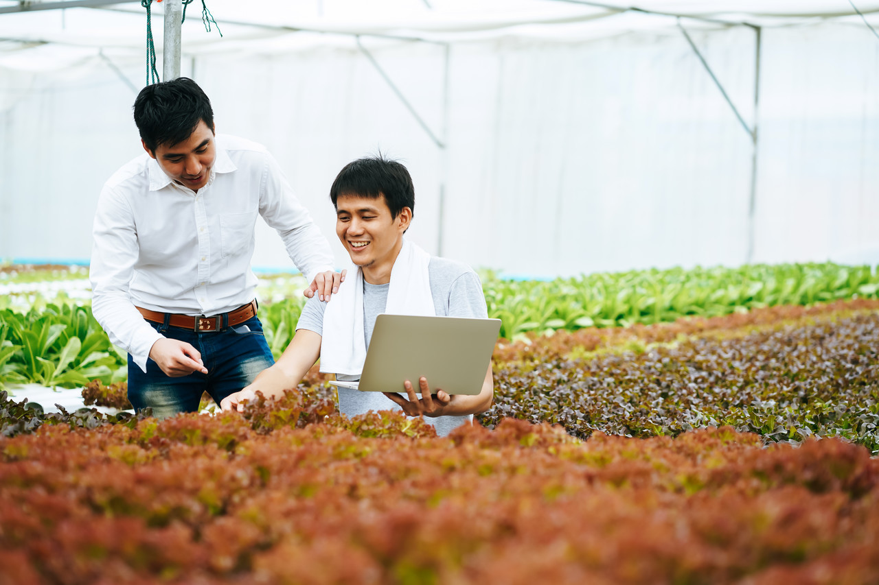 W3ERP - W3ERP lança sistema de gestão específico para o agronegócio