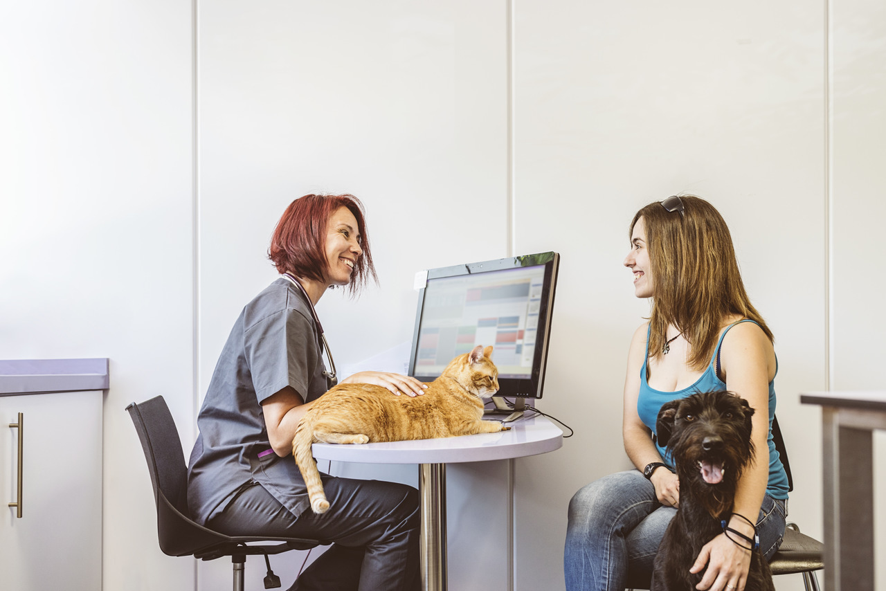 W3ERP - Distribuidora pet impulsiona serviços com automação inteligente